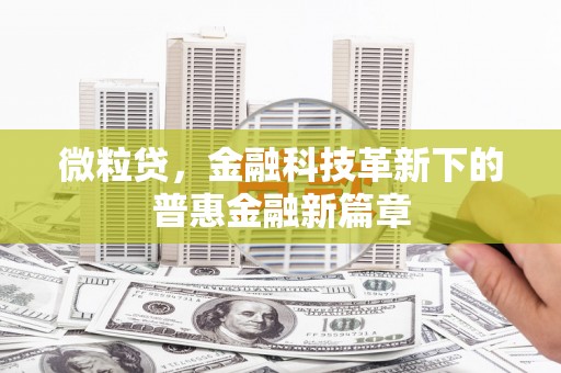 板桥微粒贷，金融科技革新下的普惠金融新篇章