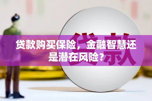 板桥贷款购买保险，金融智慧还是潜在风险？