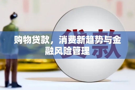 板桥购物贷款，消费新趋势与金融风险管理