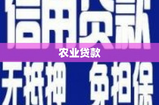 板桥农业贷款