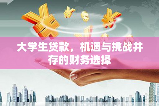 板桥大学生贷款，机遇与挑战并存的财务选择