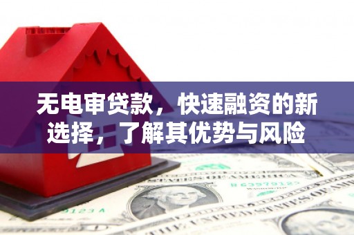 板桥无电审贷款，快速融资的新选择，了解其优势与风险
