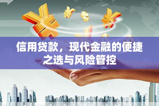 板桥信用贷款，现代金融的便捷之选与风险管控