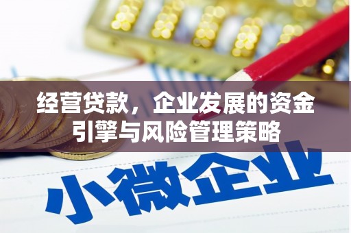 板桥经营贷款，企业发展的资金引擎与风险管理策略