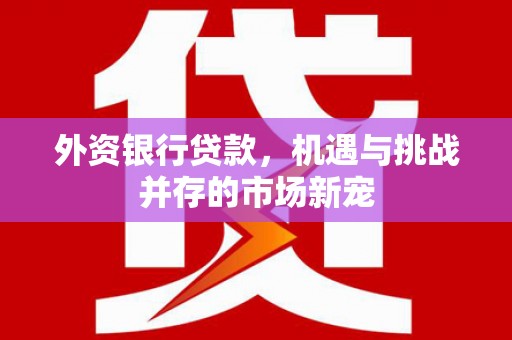 板桥外资银行贷款，机遇与挑战并存的市场新宠