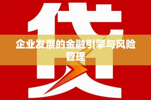 板桥企业发展的金融引擎与风险管理