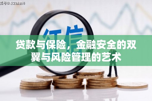 板桥贷款与保险，金融安全的双翼与风险管理的艺术