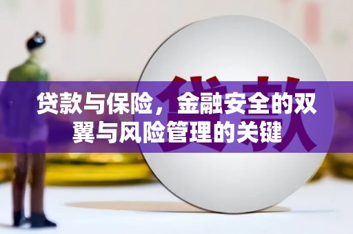 板桥贷款与保险，金融安全的双翼与风险管理的关键
