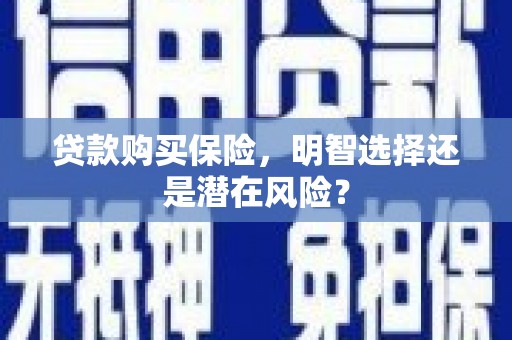 板桥贷款购买保险，明智选择还是潜在风险？