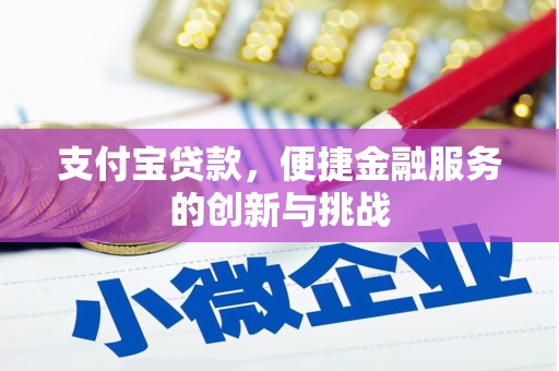 板桥支付宝贷款，便捷金融服务的创新与挑战