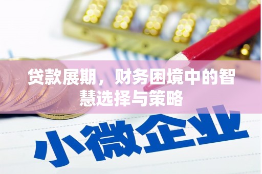 板桥贷款展期，财务困境中的智慧选择与策略