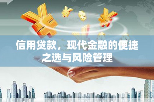 板桥信用贷款，现代金融的便捷之选与风险管理