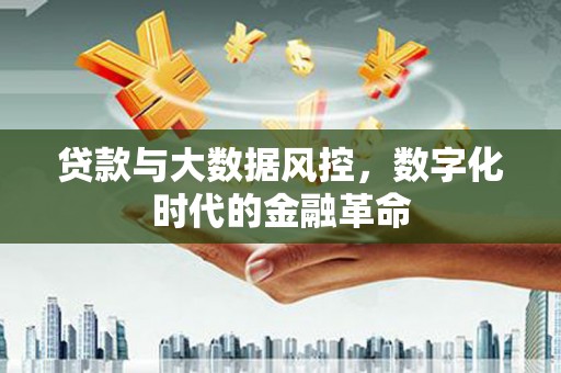 板桥贷款与大数据风控，数字化时代的金融革命