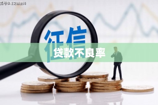 板桥贷款不良率