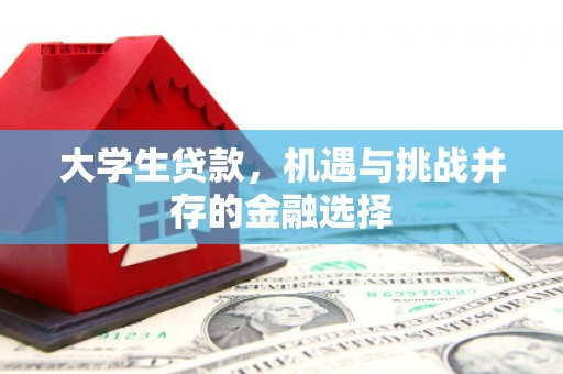 板桥大学生贷款，机遇与挑战并存的金融选择