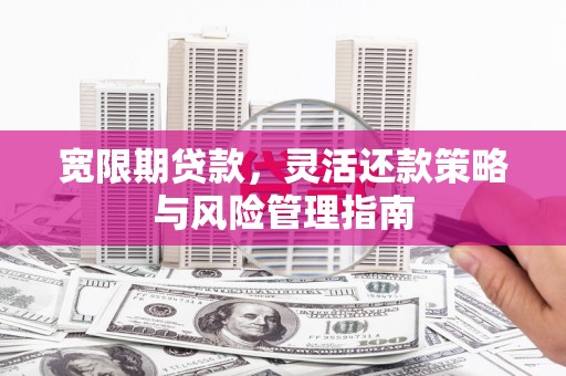 板桥宽限期贷款，灵活还款策略与风险管理指南