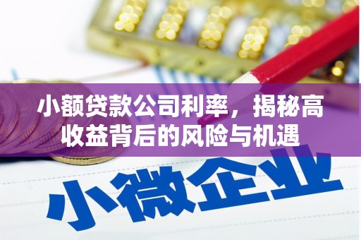 板桥小额贷款公司利率，揭秘高收益背后的风险与机遇