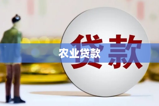 板桥农业贷款