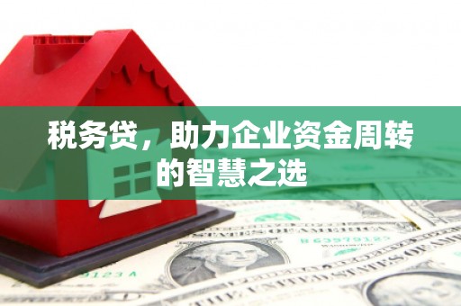 板桥税务贷，助力企业资金周转的智慧之选