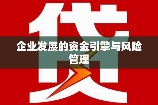 板桥企业发展的资金引擎与风险管理