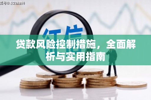 板桥贷款风险控制措施，全面解析与实用指南