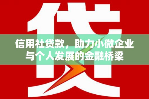 板桥信用社贷款，助力小微企业与个人发展的金融桥梁
