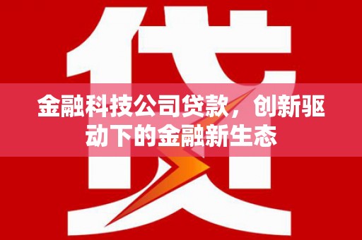板桥金融科技公司贷款，创新驱动下的金融新生态
