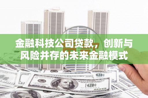 板桥金融科技公司贷款，创新与风险并存的未来金融模式