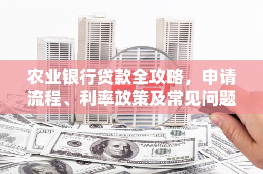 板桥农业银行贷款全攻略，申请流程、利率政策及常见问题解析