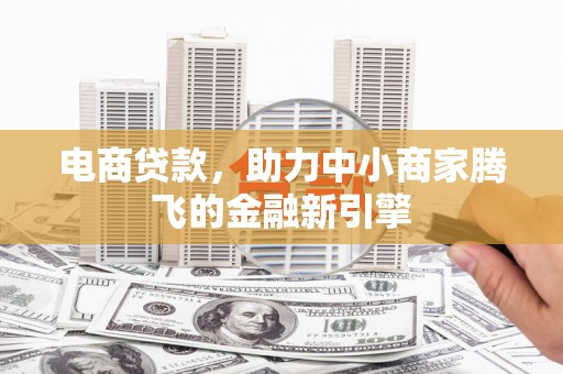 板桥电商贷款，助力中小商家腾飞的金融新引擎