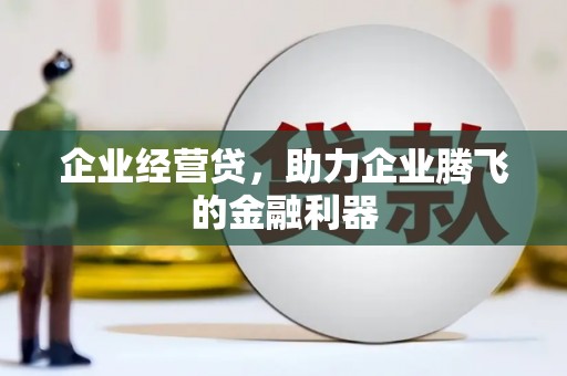 板桥企业经营贷，助力企业腾飞的金融利器