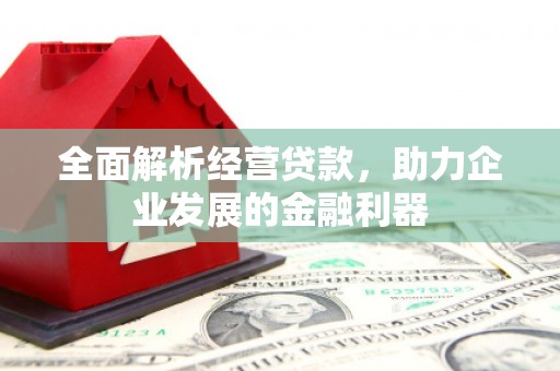 板桥全面解析经营贷款，助力企业发展的金融利器