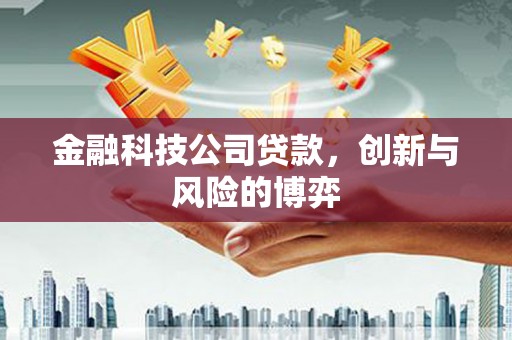 板桥金融科技公司贷款，创新与风险的博弈