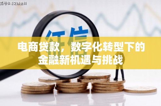 板桥电商贷款，数字化转型下的金融新机遇与挑战