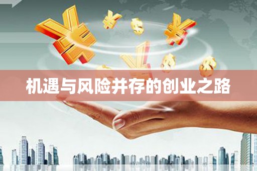 板桥机遇与风险并存的创业之路