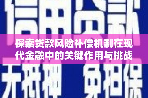 板桥探索贷款风险补偿机制在现代金融中的关键作用与挑战