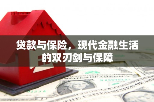 板桥贷款与保险，现代金融生活的双刃剑与保障