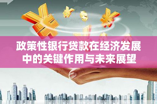 板桥政策性银行贷款在经济发展中的关键作用与未来展望