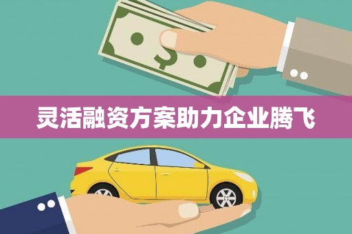 板桥灵活融资方案助力企业腾飞