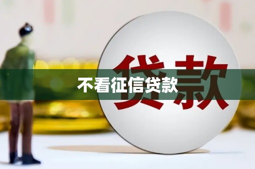 板桥不看征信贷款