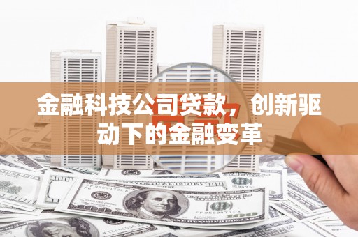 板桥金融科技公司贷款，创新驱动下的金融变革