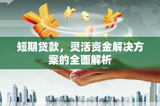 板桥短期贷款，灵活资金解决方案的全面解析