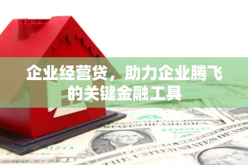 板桥企业经营贷，助力企业腾飞的关键金融工具