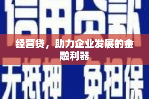 板桥经营贷，助力企业发展的金融利器
