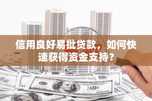 板桥信用良好易批贷款，如何快速获得资金支持？