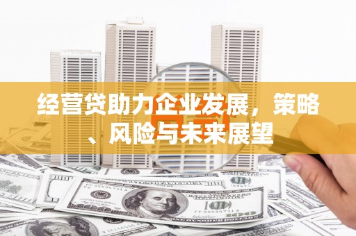 板桥经营贷助力企业发展，策略、风险与未来展望