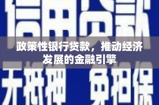 板桥政策性银行贷款，推动经济发展的金融引擎