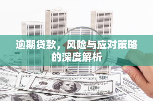 板桥逾期贷款，风险与应对策略的深度解析