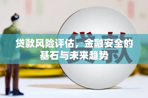 板桥贷款风险评估，金融安全的基石与未来趋势
