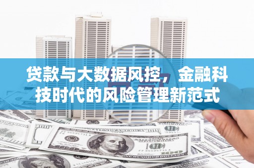 板桥贷款与大数据风控，金融科技时代的风险管理新范式